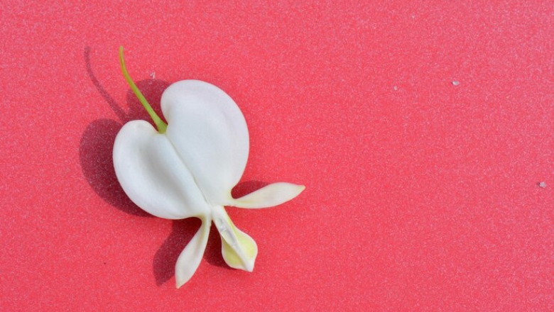 ترشح سفید رنگ از واژن نشانه