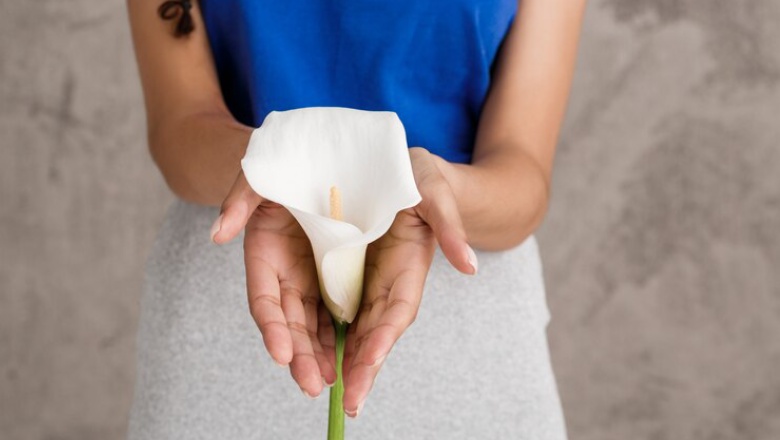 درمان‌های ترشحات واژن با استفاده از دارو