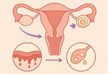 نحوه محاسبه زمان تخمک گذاری بعد از پریود