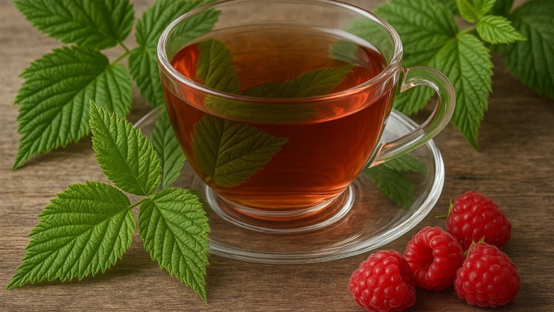 گیاه تمشک در طب سنتی به تقویت رحم و تنظیم قاعدگی معروف است