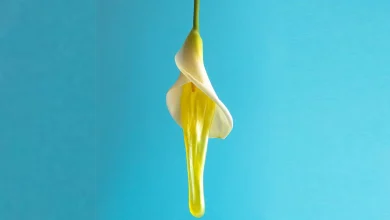 ترشحات زرد رنگ واژن