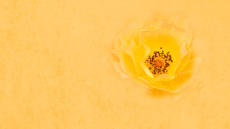 درمان ترشحات زرد رنگ واژن