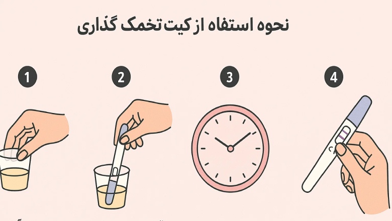 نحوه استفاده از کیت تخمک گذاری